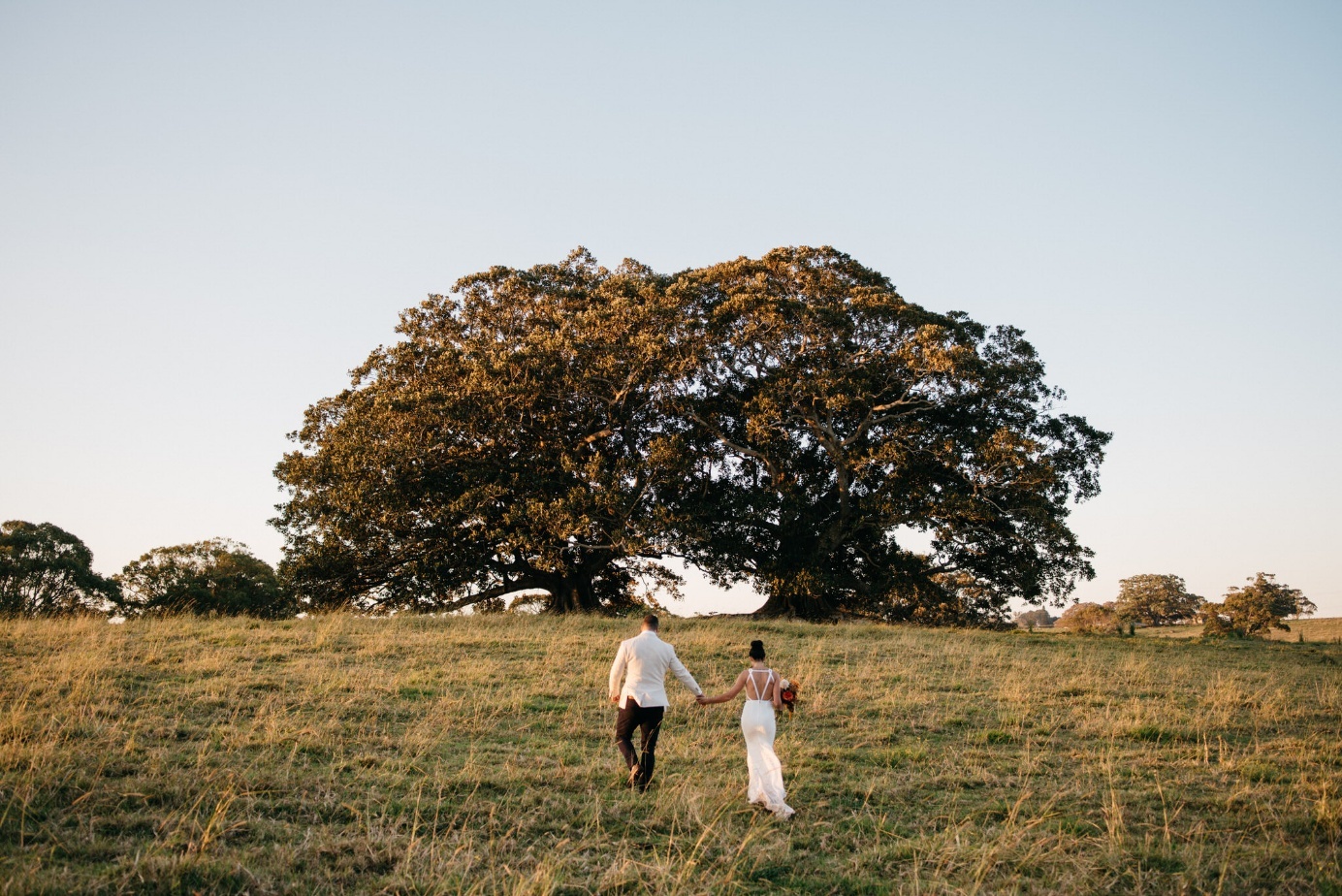 The White Tree – Byron Bay Weddings